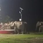 बिग ब्रेकिंग: आईआईएम कैडेट की स्विमिंग पूल में डूबने से मृत्यु