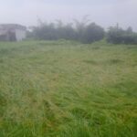 फिल्म अभिनेता खेर ने जानी खैरियत, मनिंद्र को भेंट की अपनी पुस्तक