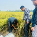 हरिद्वार में अतिक्रमण पर चला प्रशासन का डंडा