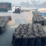 छठे दिन खुला पोर्टल, धान खरीद में बारिश ने डाली खलल