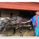 बाघैंन के नाट्य मंचन ने पहाड़ की मर्म को उकेरा