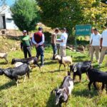 जानें,शतरंज में हल्द्वानी ने कैसे मारी बाजी