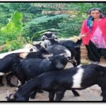 जानें,राष्ट्रपति का हरिद्वार में कहां प्रस्तावित दौरा