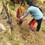 पशुपालन से जानकी की हुई आर्थिकी स्थिति मजबूत