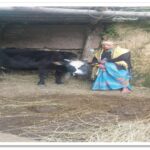 श्री बद्रीनाथ धाम को प्रथम दल रवाना