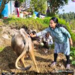 युवा महोत्सव में दिखी देवभूमि की संस्कृति की झलक