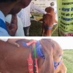 जेएनयू में लहराया लाल झंडा, एबीवीपी को लगा झटका