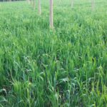 प्रदेश सरकार की गिनाईं उपलब्धियां