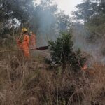 नगला में 1 करोड़ से 140 स्ट्रीट लाइटों का शिलान्यास