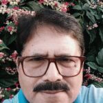 सिर्फ सफर नहीं, सम्मान की सवारी—पिंक ई-रिक्शा बनी सशक्तिकरण