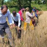 जिला सम्मेलन करने का लिया निर्णय