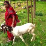 स्वतंत्रता दिवस हर्षोल्लास से मनाने को प्रशासन ने बनाई रूपरेखा