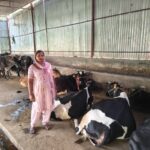 बीआइएस केयर ऐप से सोने-चांदी के आभूषण की होगी पहचान