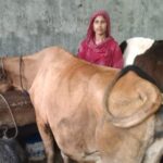 वोकल फॉर लोकल विजन को धरातल पर साकार कर रहीं चम्पावत की उन्नति समूह की महिलाएं