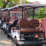 मुख्यमंत्री ने नशामुक्त उत्तराखण्ड वॉकथॉन को दिखाई हरी झंडी
