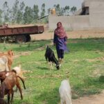 गोपेश्वर में हुए युवा संवाद कार्यक्रम में एसआइआर पर चर्चा